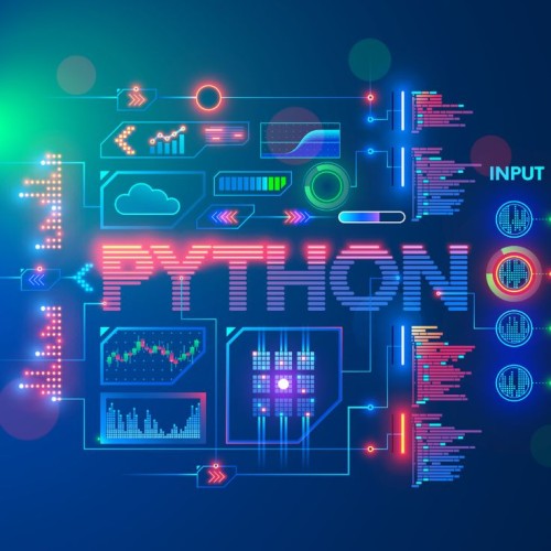 LEARN PYTHON IN 90 DAYS